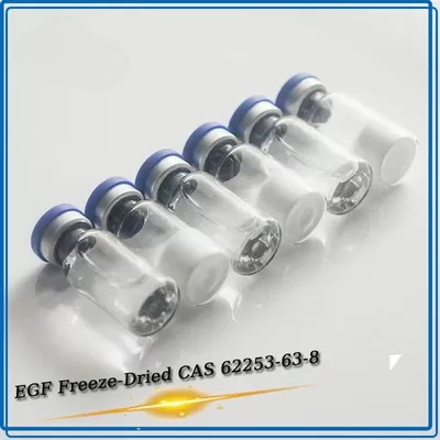 99% Cosmetics Raw Material Epidermal EGF Powder CAS 62253-63-8