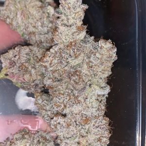 Buy Berry White Strain Online