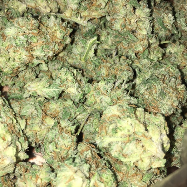 Buy Bubba Kush Strain Online