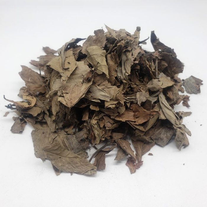 Dried Chacruna Leaves (Psychotria Viridis)