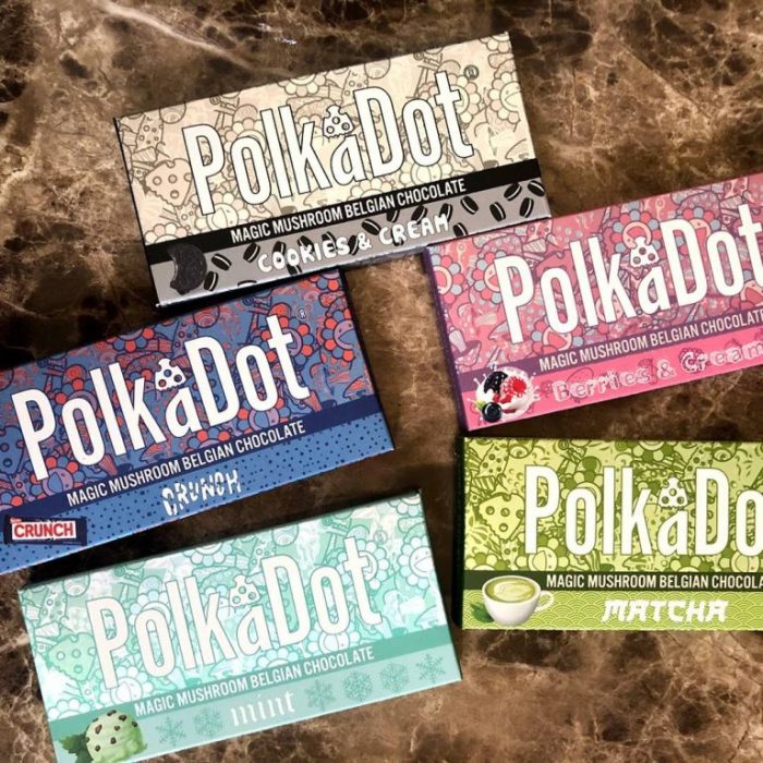PolkaDot Mushroom Chocolate Bar